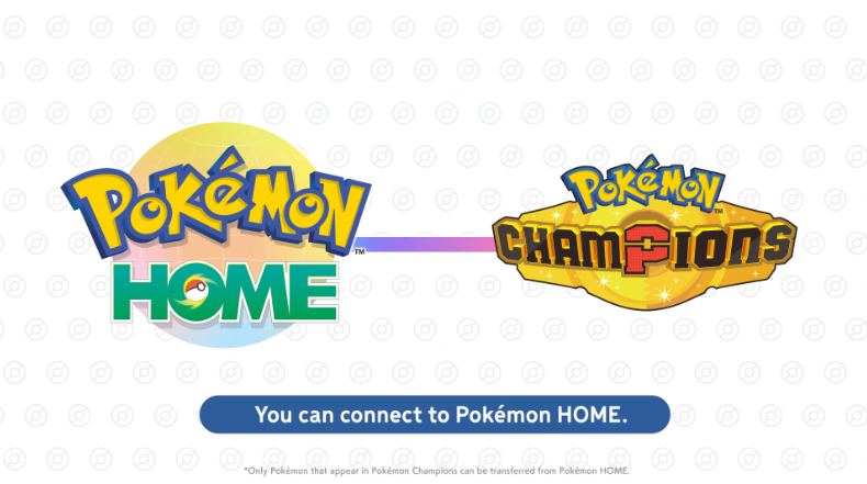 SplashPlate tweet media