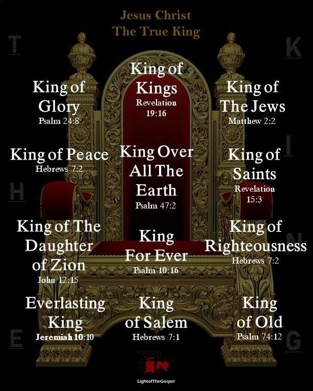 Christine 🇺🇸🦩 tweet media