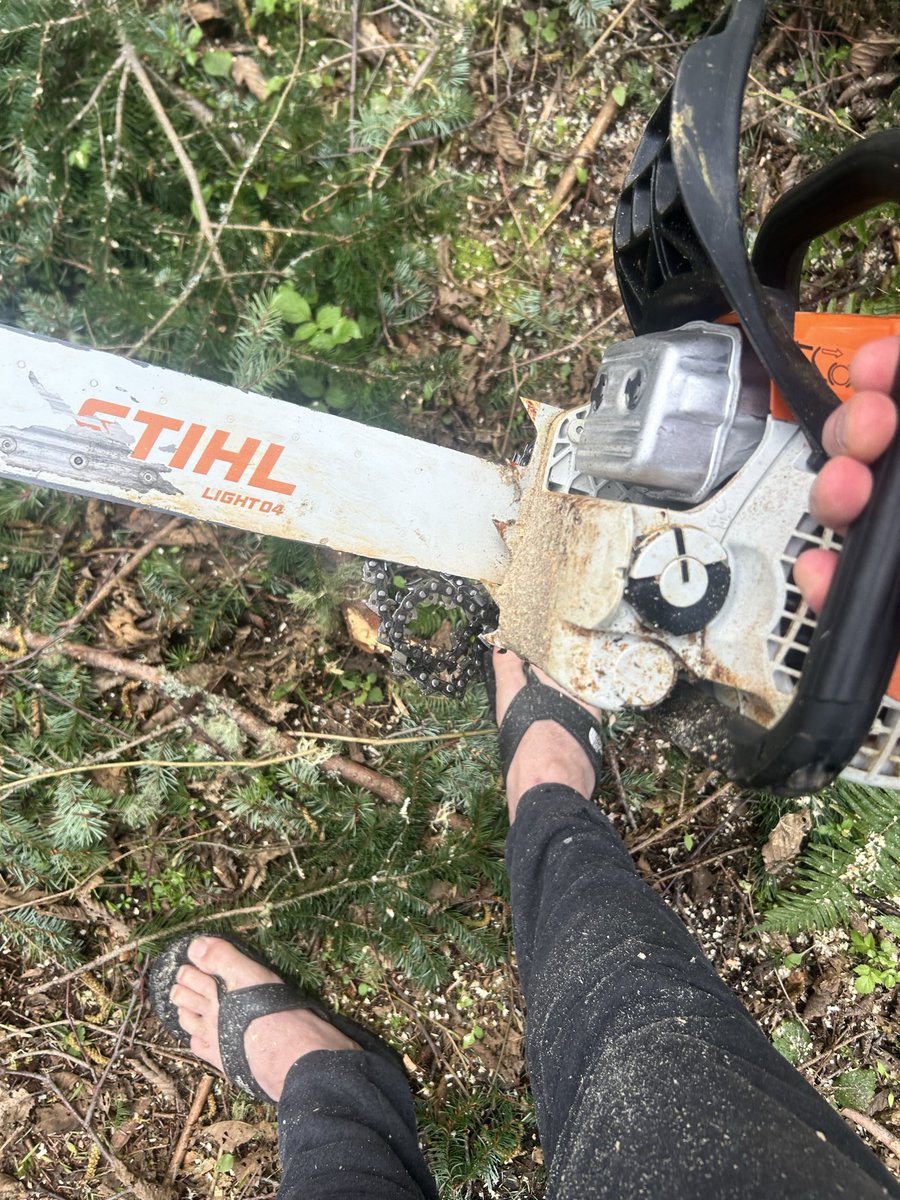 SentientBunnySuit🐰 tweet media