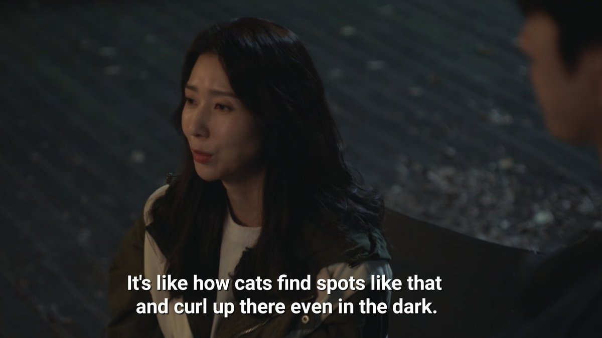 💫rena tweet media