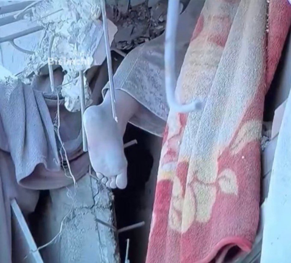 Ahmet Gemici tweet media