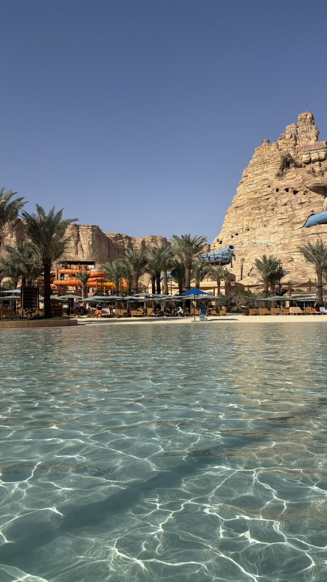 يوسف بن محمد tweet media