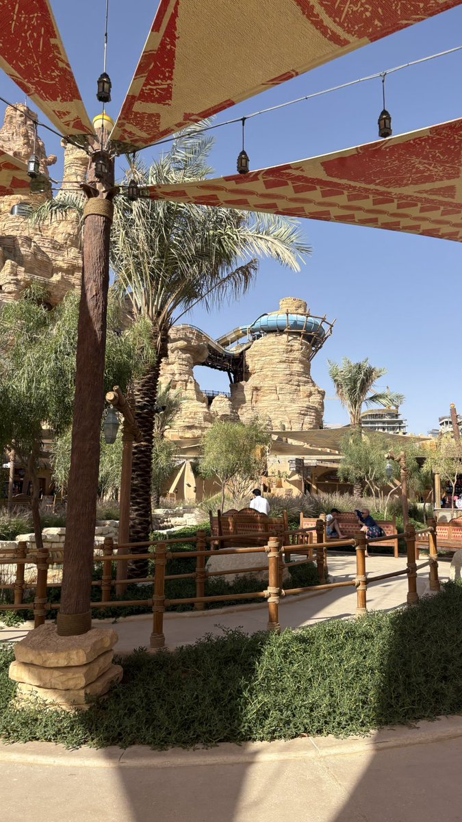 يوسف بن محمد tweet media