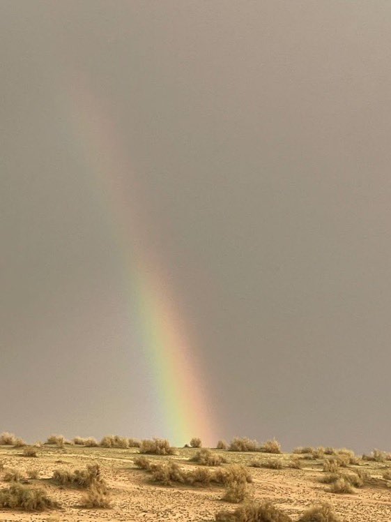 ابراهيم الدبيبي،اعلامي/ نجد tweet media