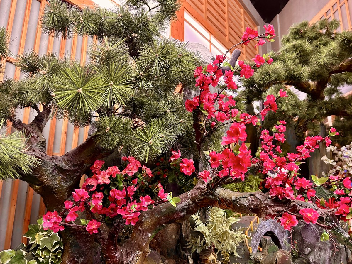 Amarilla tweet media