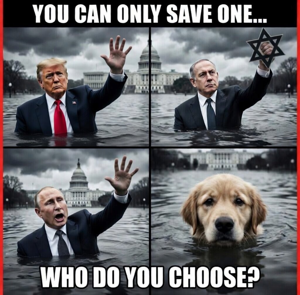 🙈🙉🙊 tweet media