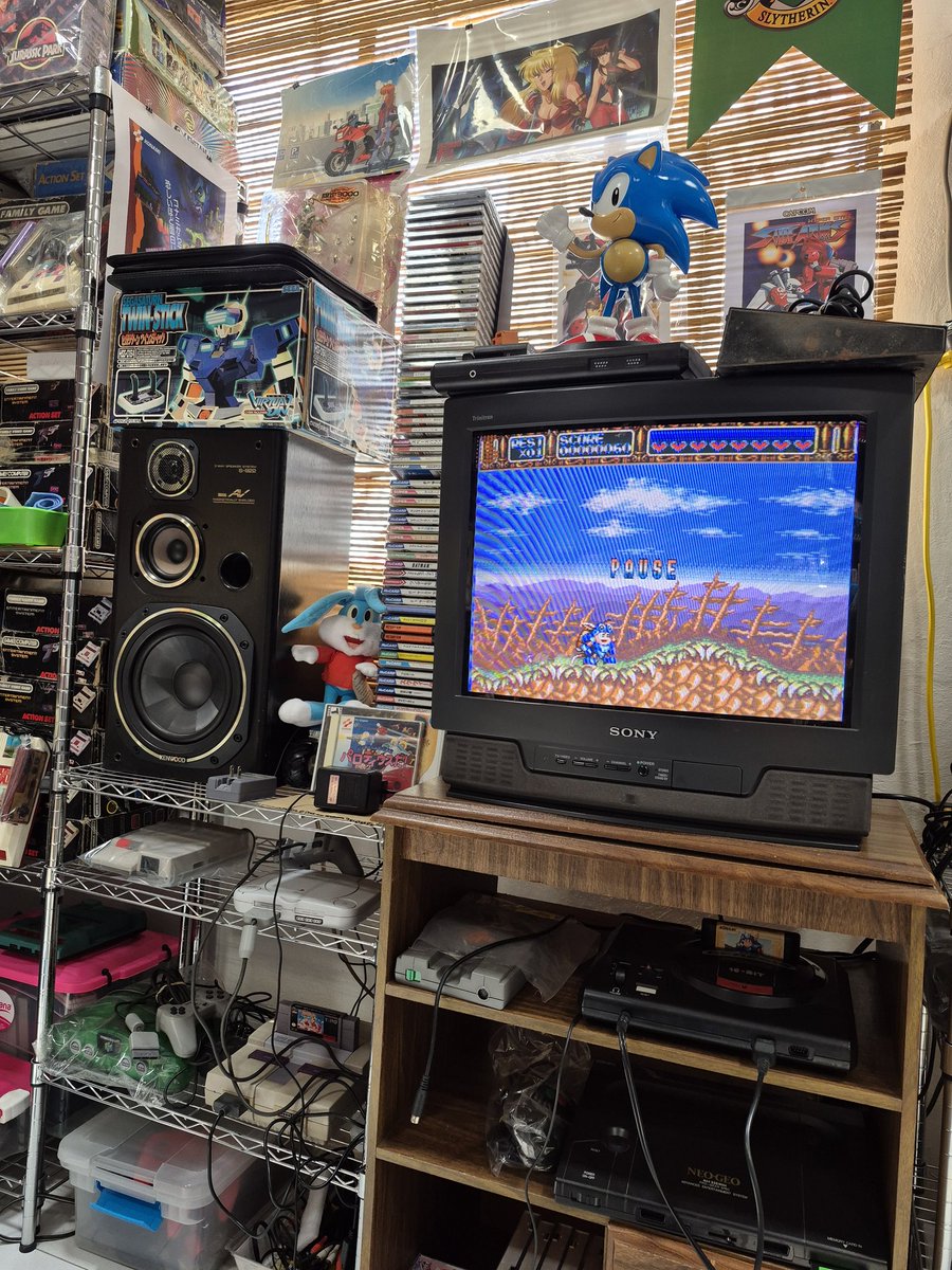 Paco - パコさん tweet media