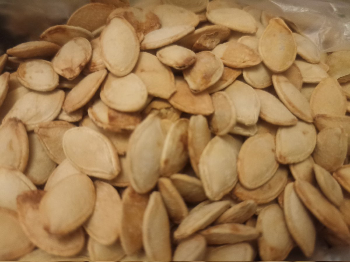 javad jose tweet media