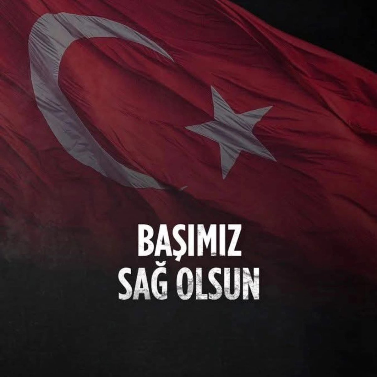 Gülcan Kış tweet media