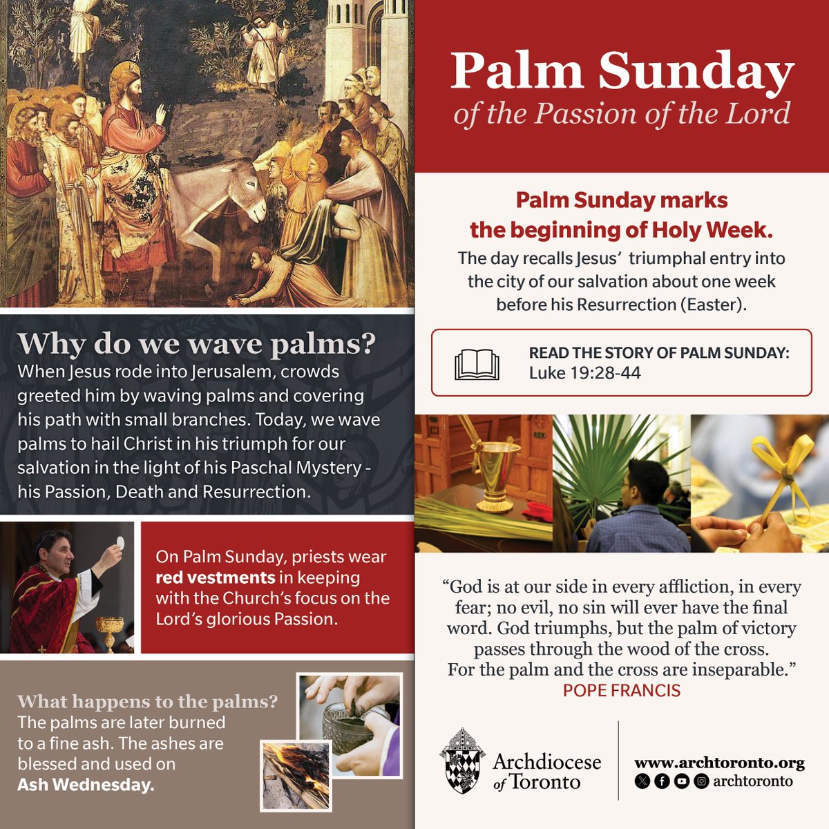 Archdiocese of Toronto tweet media