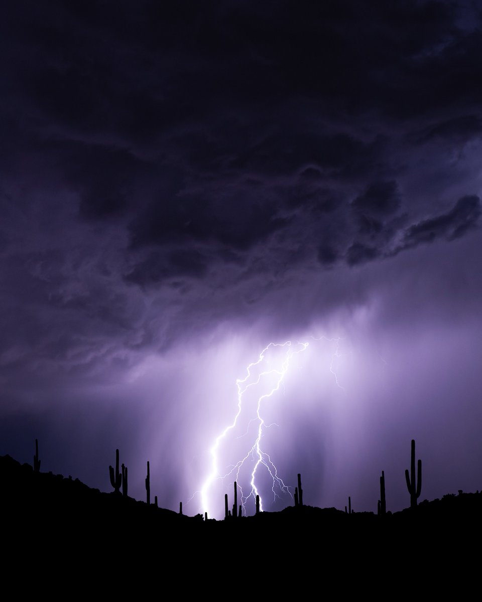 Joelle LB tweet media