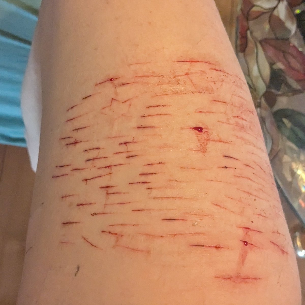 Andy / Kaz . 𔓕 tweet media