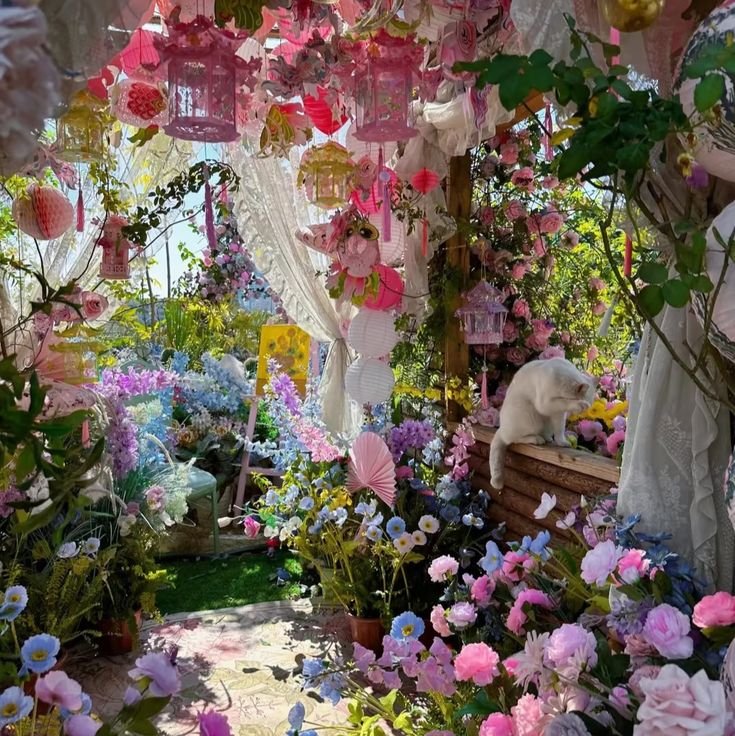 NatureVibe tweet media