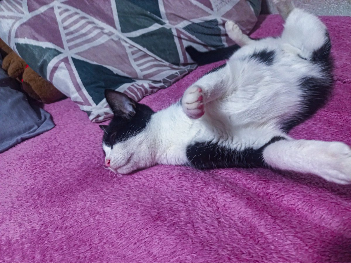 ᴅᴜᴅᴀ 🍷 tweet media