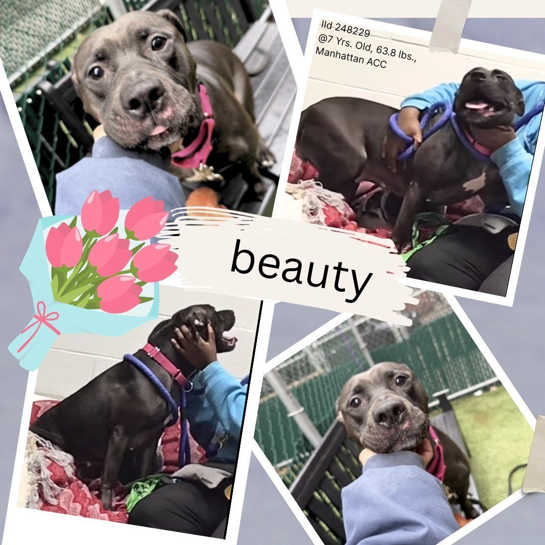 Not the Same tweet media