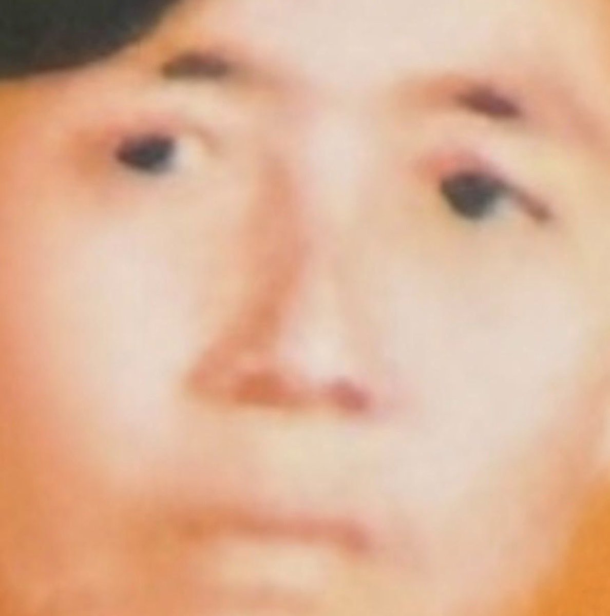 fritzchenpflaumenbaum tweet media