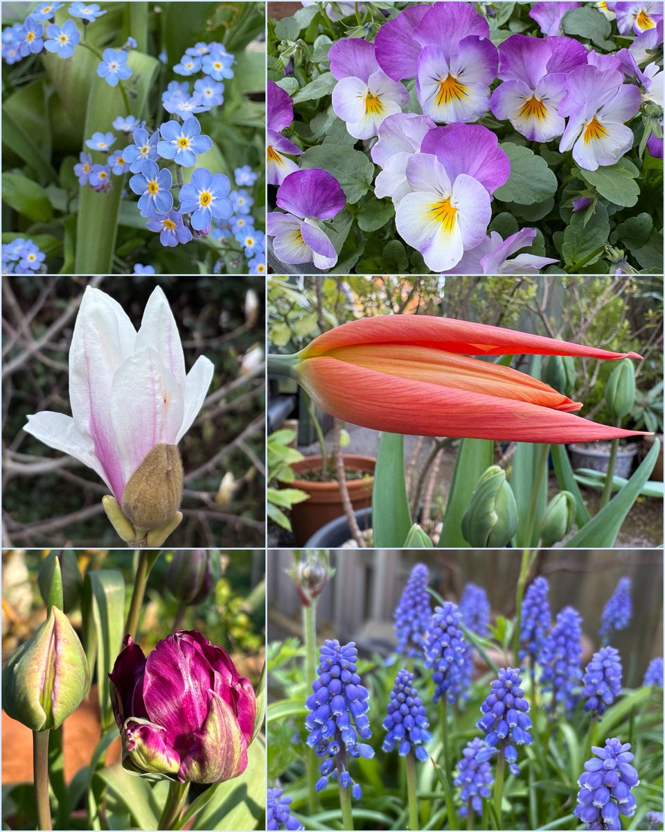 Elizabeth Atherton tweet media