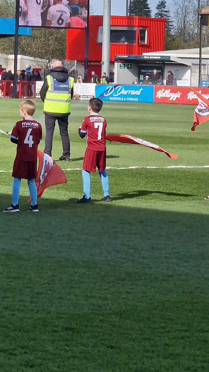 Shells Bells tweet media