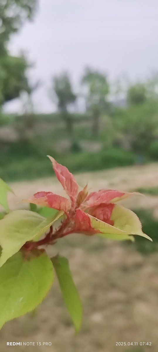 Alexander Martinez tweet media