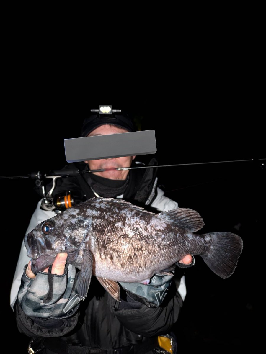 ポン太(ポンコツ)@ tweet media