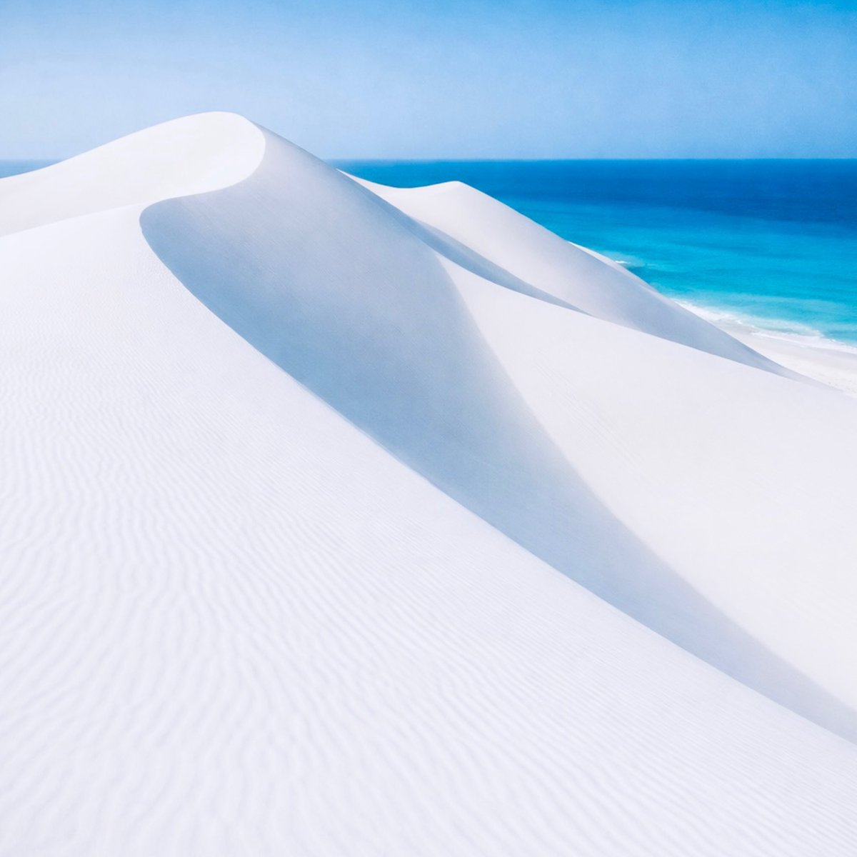 Beautiful World tweet media