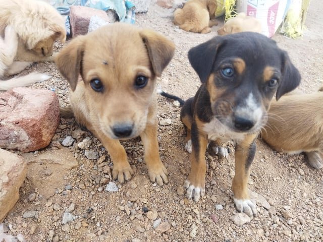 Tyga👑🇺🇬 tweet media