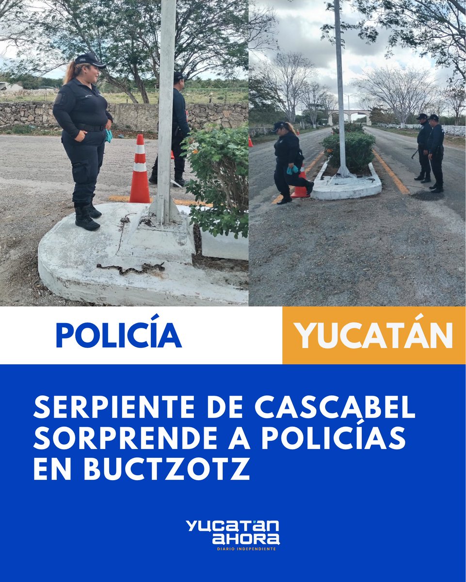 Yucatán Ahora tweet media