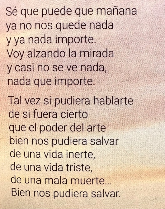 Lorenzo Silva tweet media