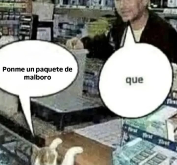 𝖗𝖆𝖒𝖎_ tweet media