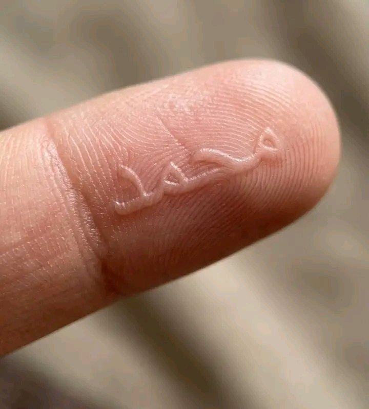 dmplgrll tweet media