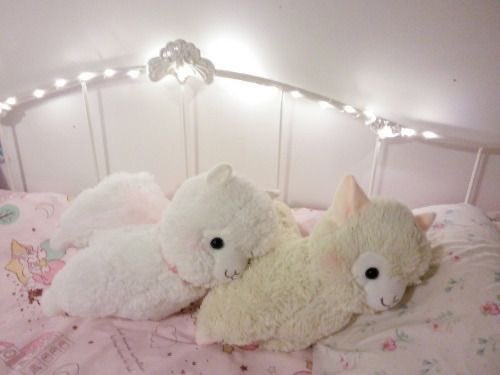 fairy ୨♡୧ tweet media