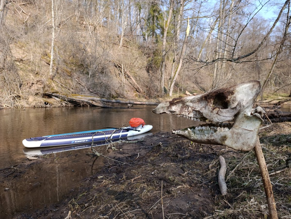 Марк Карлсон tweet media