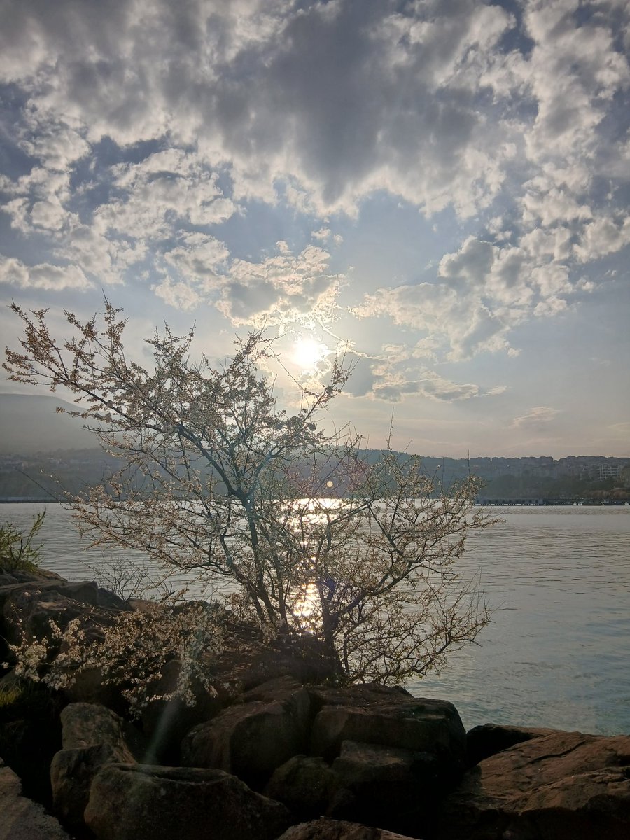 Bazı insanlar nefret etmez, 
Sadece sevmeyi bırakır...

#an