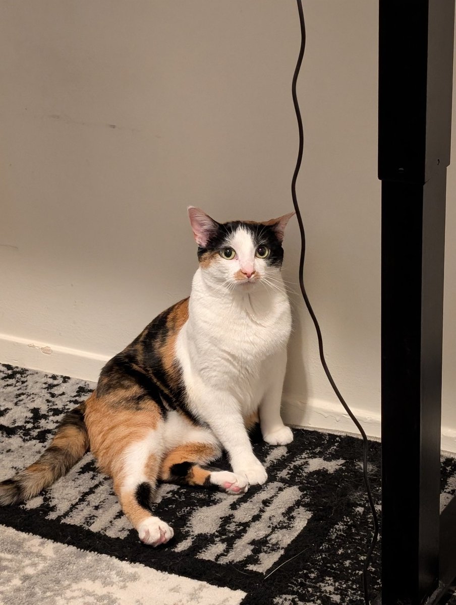 HugoPixelz? tweet media