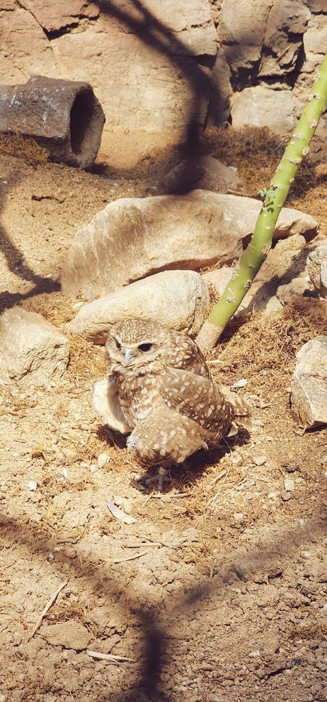 rhys 🥀 @ commissions closed tweet media