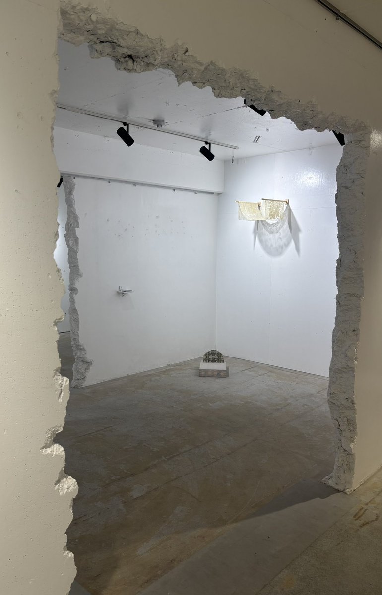 幸せに歩く！ (@qnem0ne_) on Twitter photo 