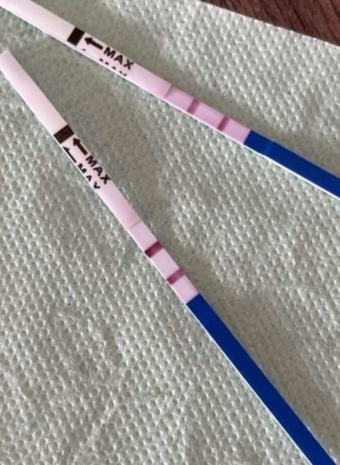 The major tweet media