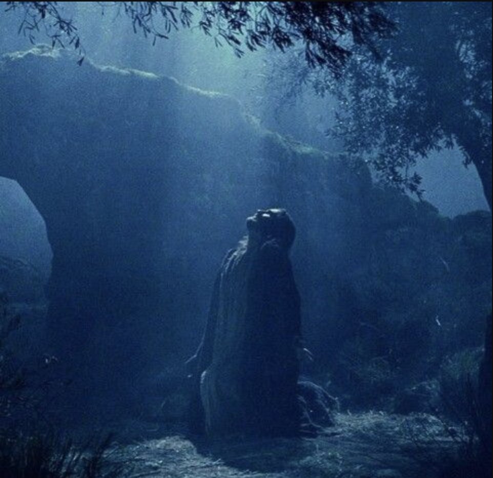 Mαr Mounier 🌐 tweet media