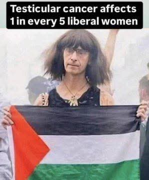 Gavin IM 928 🇬🇧🇨🇦🇺🇸⛵️🤡🌎 tweet media