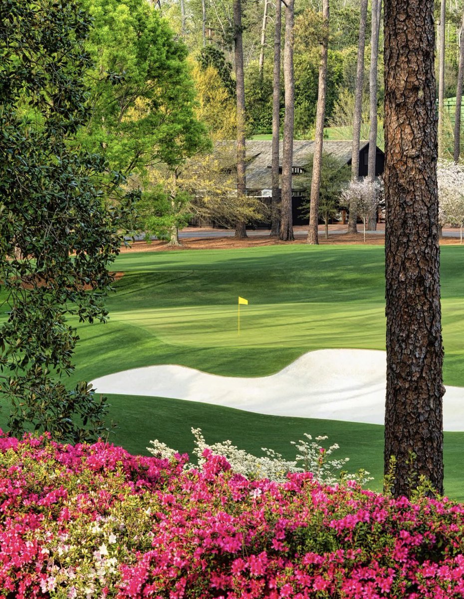 NUCLR GOLF tweet media