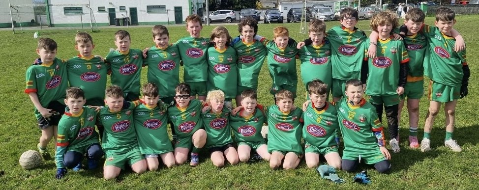 Ballinamere/Durrow GAA, LGFA & Camogie tweet media