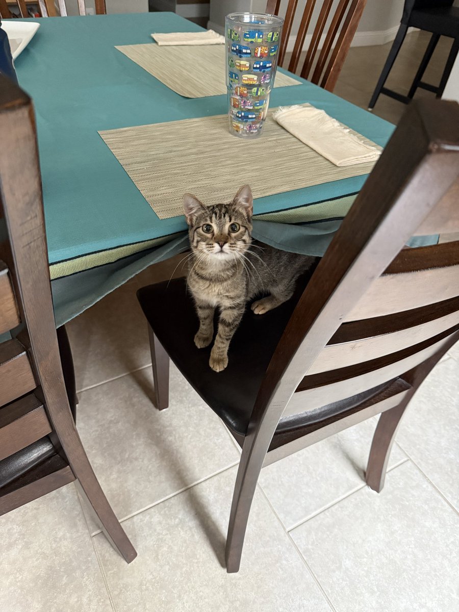 ally🎐 tweet media