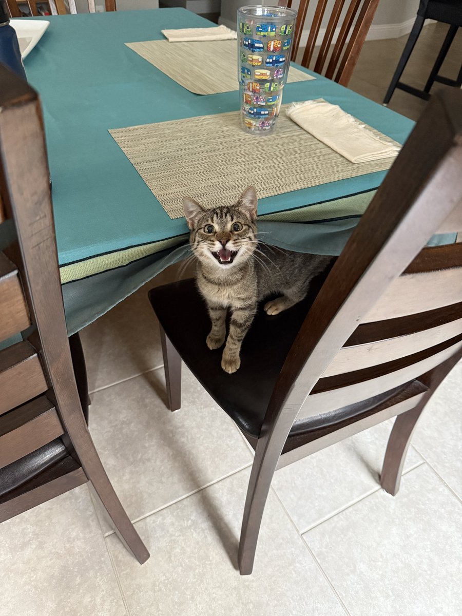 ally🎐 tweet media