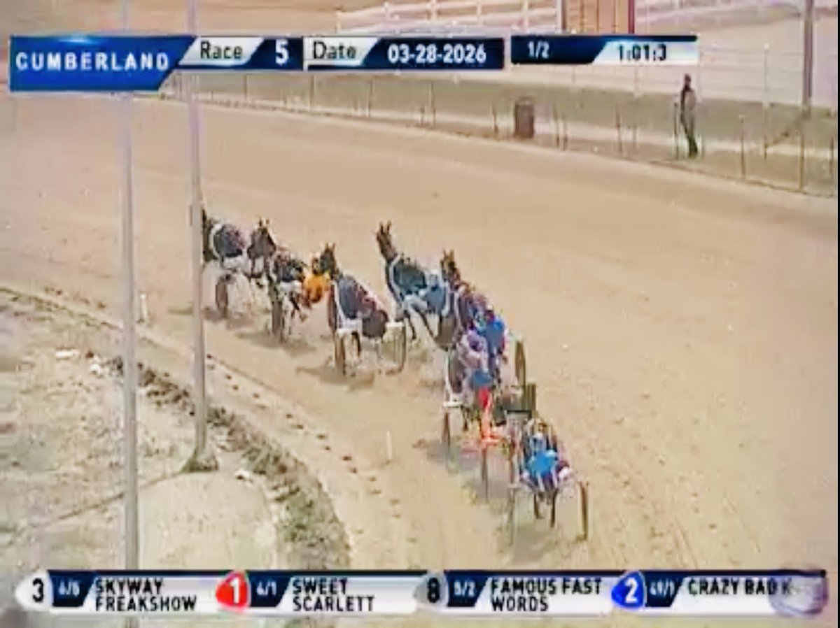 Ivory Pine Syndicate tweet media