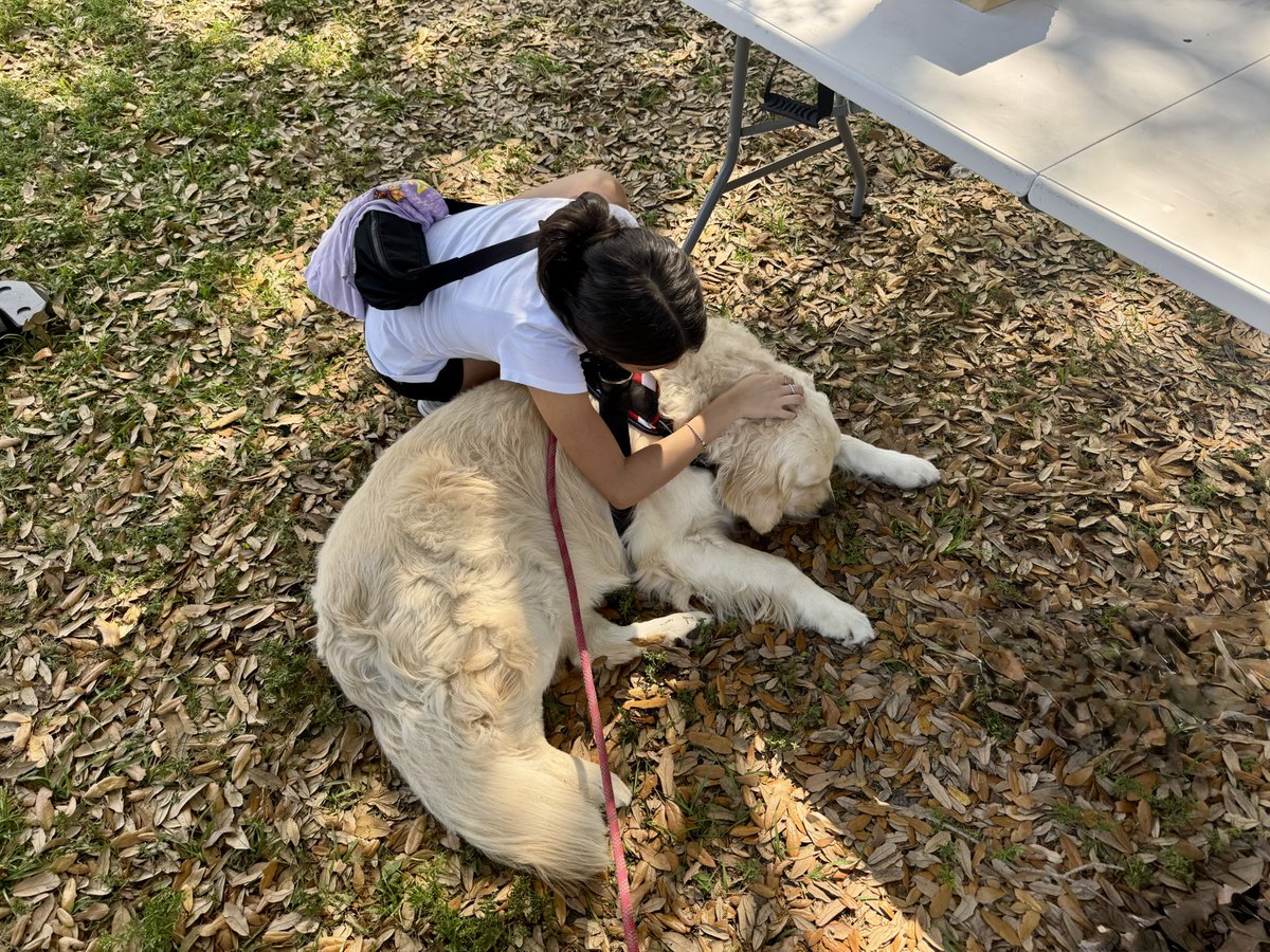 OscarTherapyDog's tweet image. Today we attended two event. First was for children with Autism and the second was called Survivors Stroll. Blessed and grateful to be able to do what we do. #firstresponderspack #bsofr #giveback #makeadifference