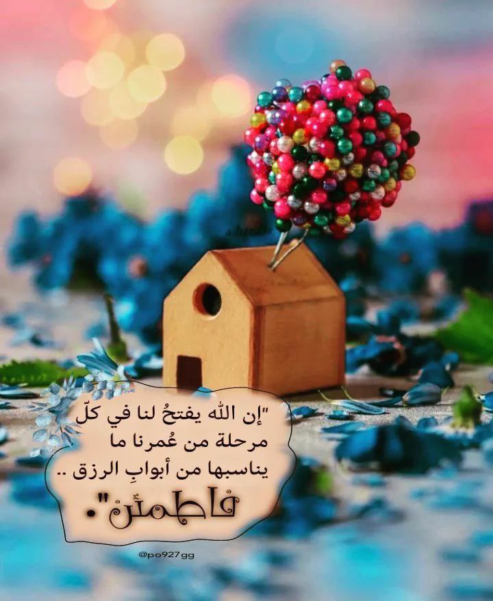 ✨مجرد حلم 💞 tweet media