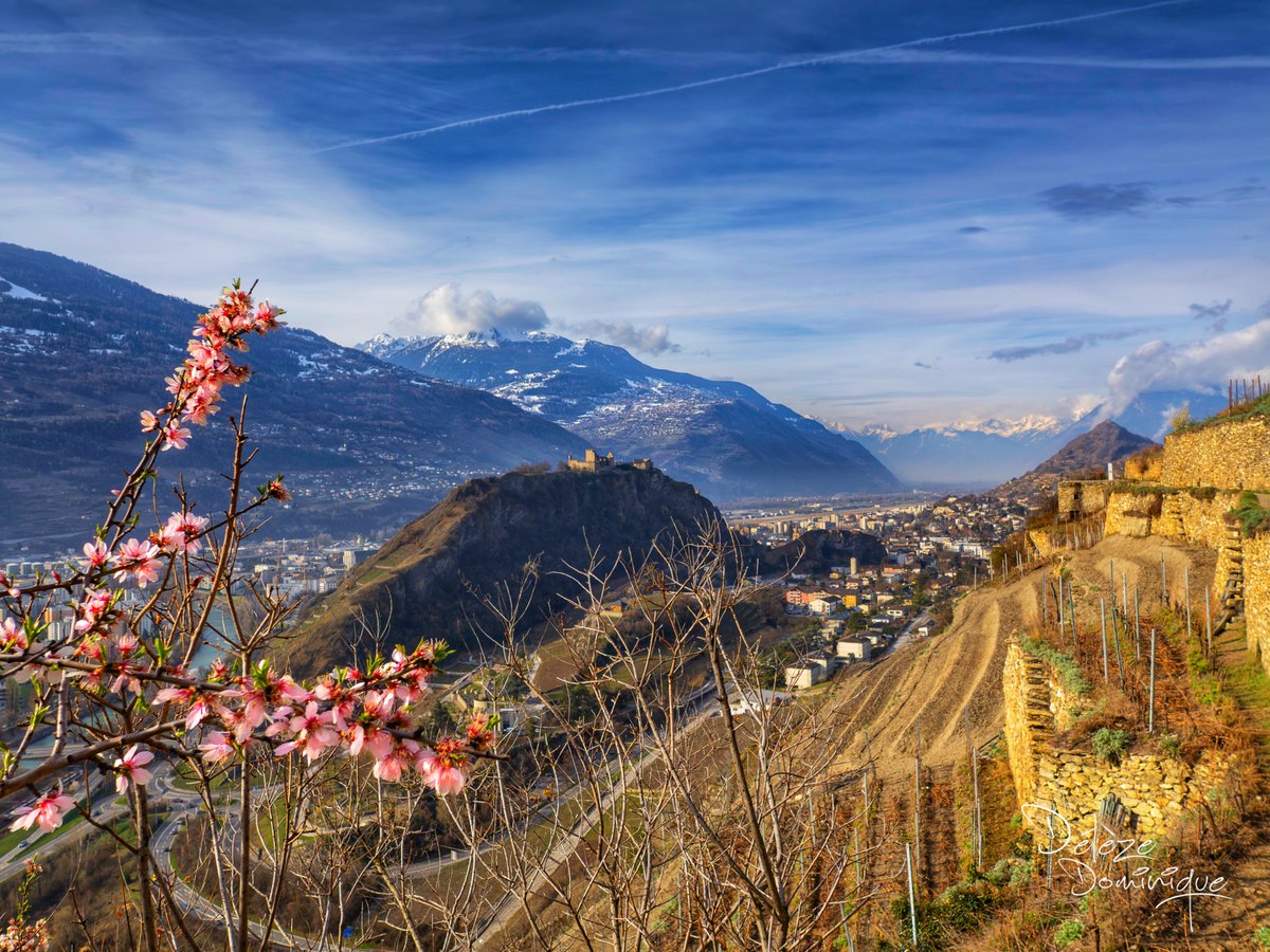 Délèze Dominique tweet media