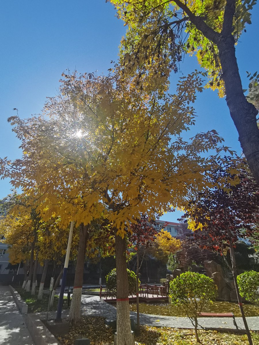 Amorri Ahmed tweet media