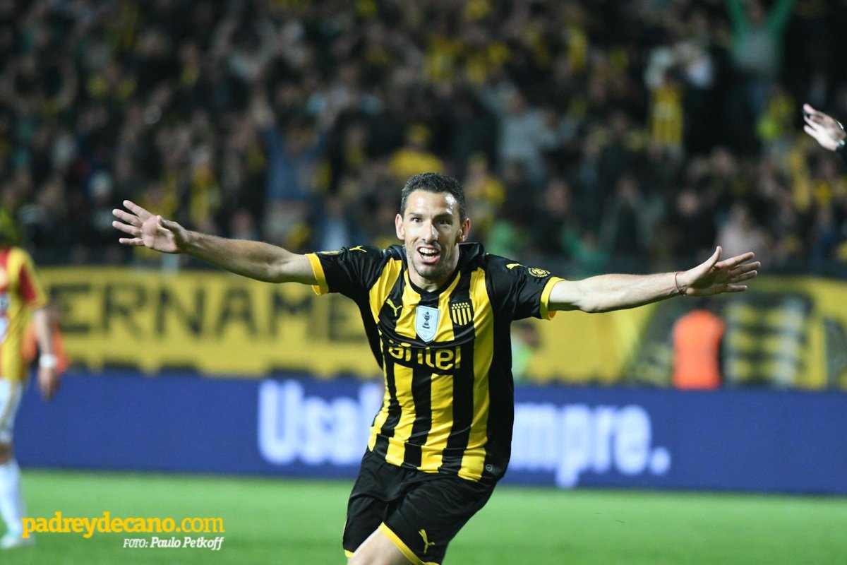 Franco Trucce tweet media