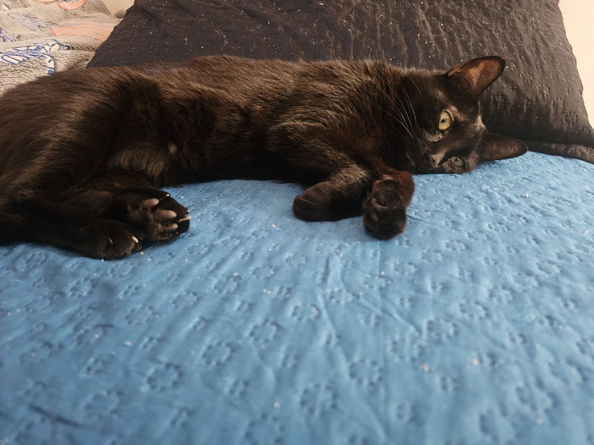 Waldo Júnior tweet media